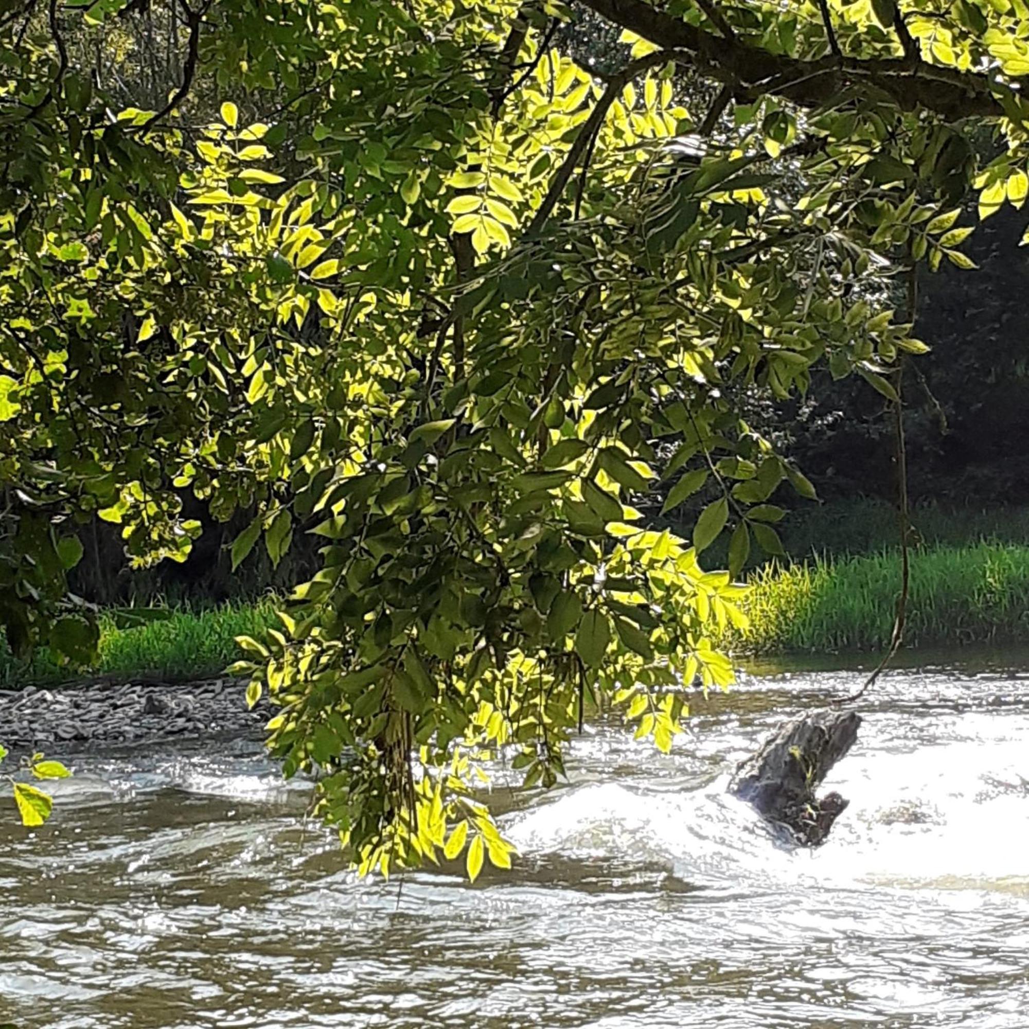 Stadt Land Fluss Plus 阿恩斯贝格 外观 照片